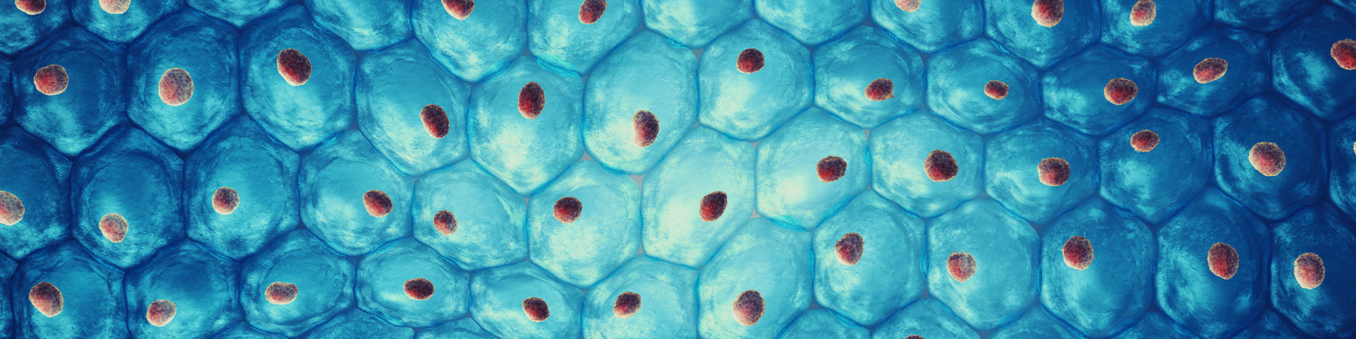 autoimmune-header