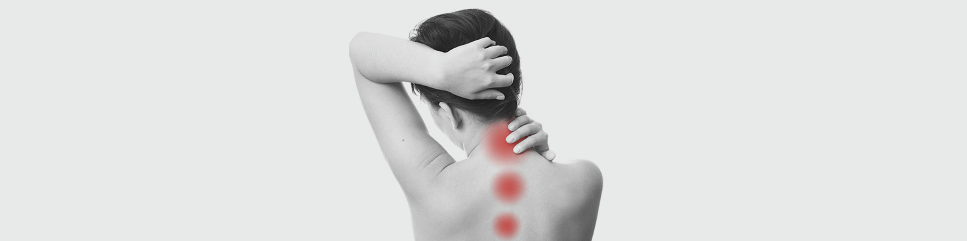 fibro-header